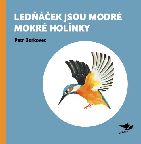 Ledňáček jsou modré mokré holínky Ledňáček jsou modré mokré holínky